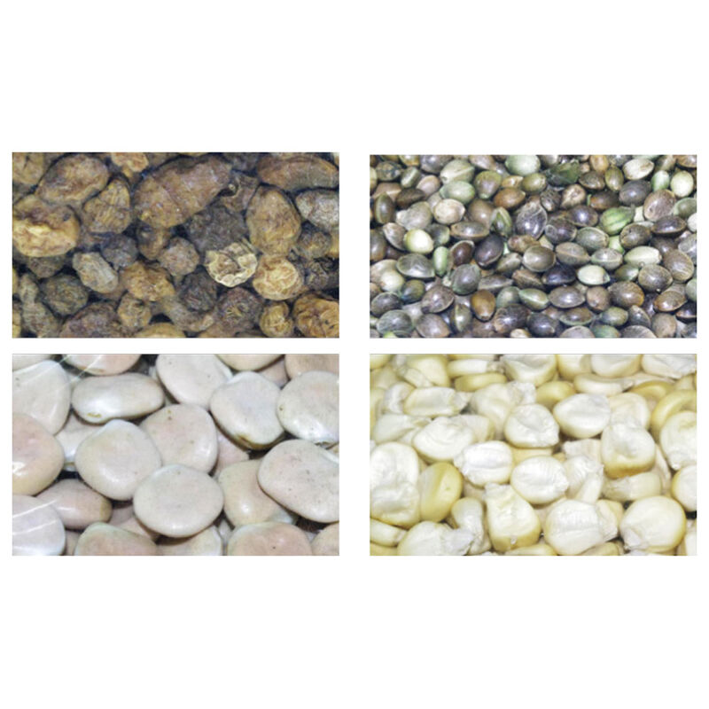 Graines sèches carpe active baits melange de graines - Sèches | Pacific Pêche