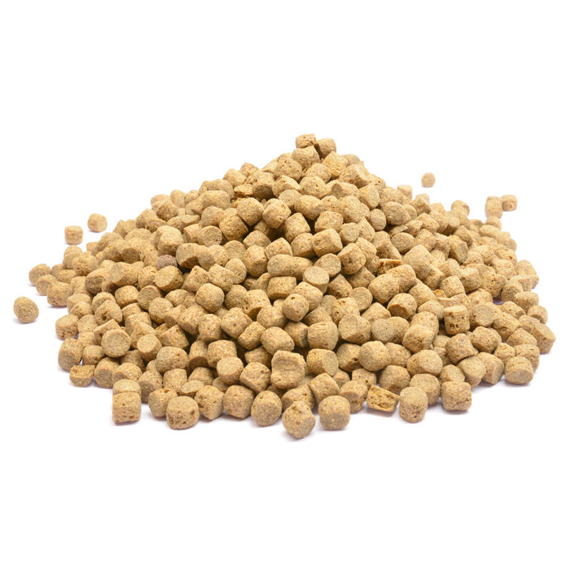 Pellets expansibles coup active baits expander 500g - Destockage | Pacific P&ecirc;che