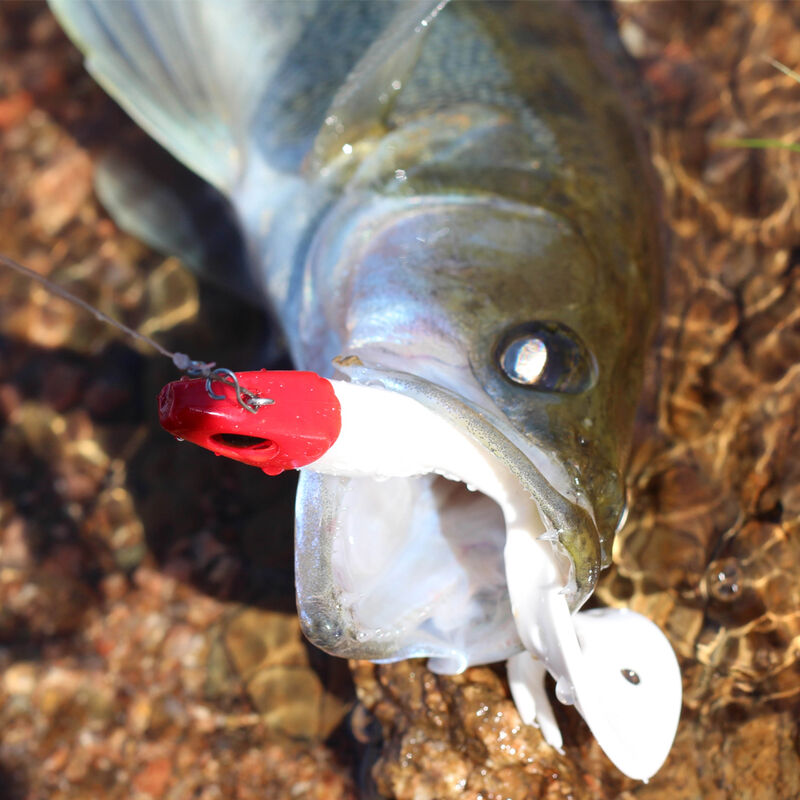 Leurre souple virgule carnassier delalande sandra mont&eacute; 12cm 10g - Grubs | Pacific P&ecirc;che