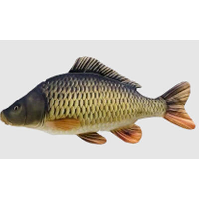 Coussin Gaby Carpe Commune Medium 64cm - Goodies/Gadgets | Pacific Pêche