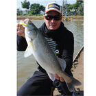 Leurre Souple Shad Biwaa Divinat&ouml;r Mini 9,5cm, 9g - Shads | Pacific P&ecirc;che