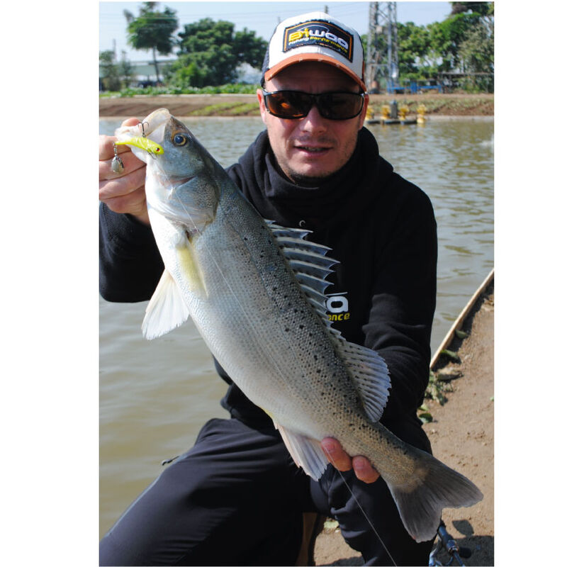 Leurre Souple Shad Biwaa Divinat&ouml;r Mini 9,5cm, 9g - Shads | Pacific P&ecirc;che