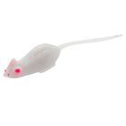Leurre de Surface Tiemco Critter Tackle Mouse Emperor 16cm, 27g - Frog | Pacific Pêche