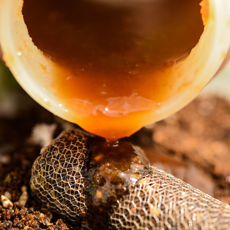 Liquide de trempage carpe cc moore liquid tuna extract 500ml - Boosters / dips | Pacific P&ecirc;che