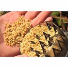 Broyeur d'appâts carpe korda krusha small - Broyeurs | Pacific Pêche