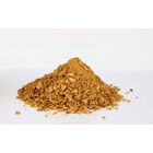 Spod Mix Starbaits Eazy Spod Yellow Splash  4.5kg - Sticks Mix | Pacific Pêche