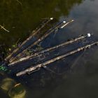 Sac de conservation Korda Compac Retainer Sling Dark Kamo - Sacs Conservation | Pacific P&ecirc;che