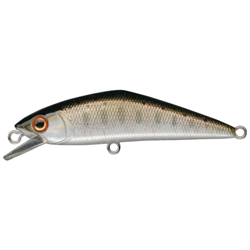 Leurre dur jerkbait carnassier smith d contact 85 8,5cm 14,5g - Jerkbaits | Pacific P&ecirc;che