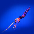 Leurre jig fiiish candy shrimp 30g - Leurres Madaï et Tenya | Pacific Pêche