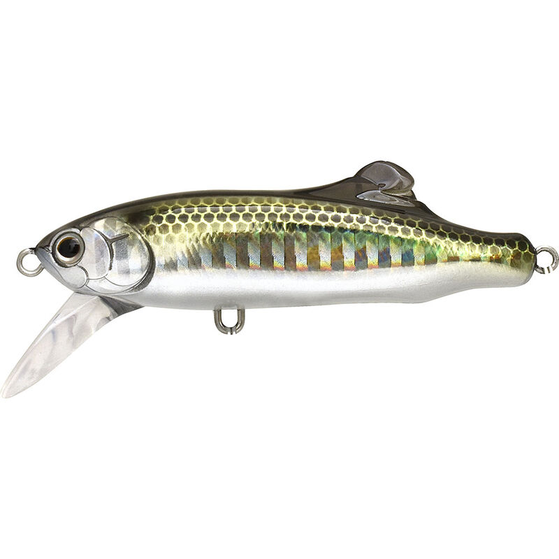 Leurre poisson nageur tackle house shore shm 6.5cm 13.5g - Leurres PN plongeants | Pacific P&ecirc;che