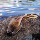 Leurre Souple Prémonté Rapala Soft Olio Prerigged 20cm, 55g - Grubs | Pacific Pêche