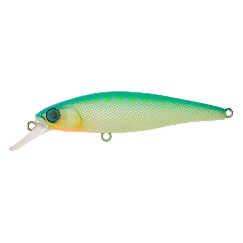 Leurre Dur Jerkbait Illex Squad Minnow 65SP 6,5cm 5,8g - Jerkbaits | Pacific P&ecirc;che