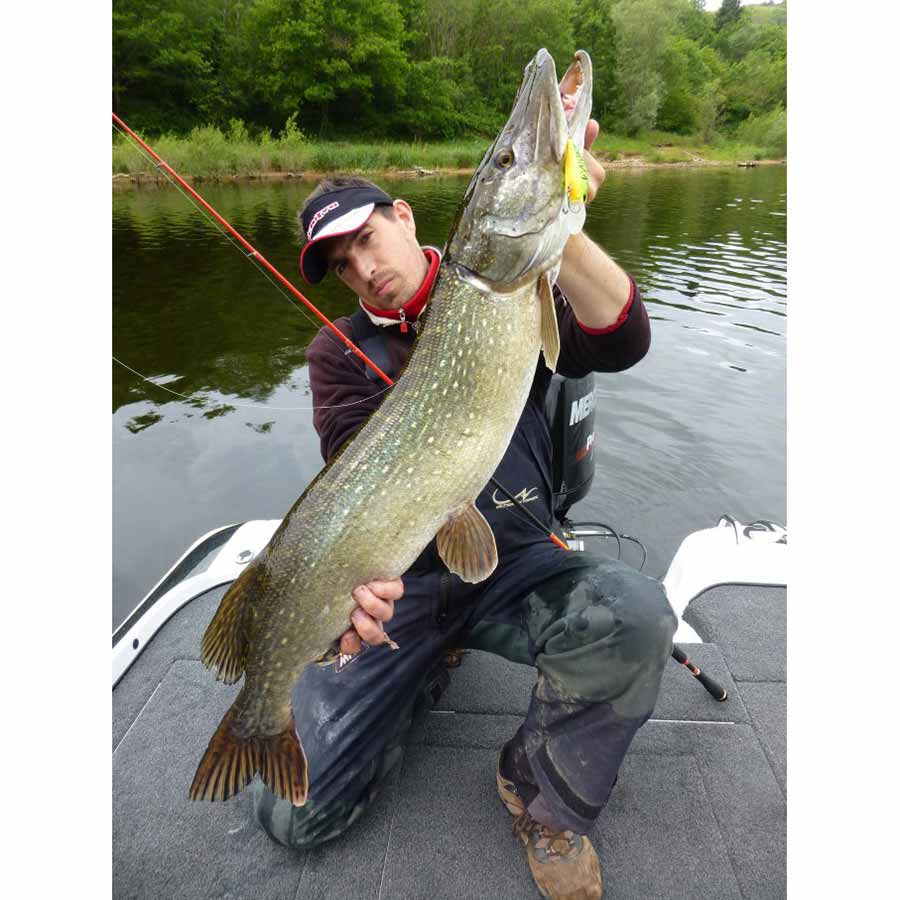 Leurre Duo Realis Crank M65 8A – Flottant 65mm Pour Bass – ACCZ292