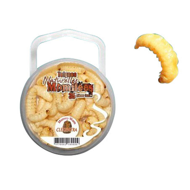 Teignes momifi&eacute;es truite astucit blanches (x35) - Larves / imitations | Pacific P&ecirc;che