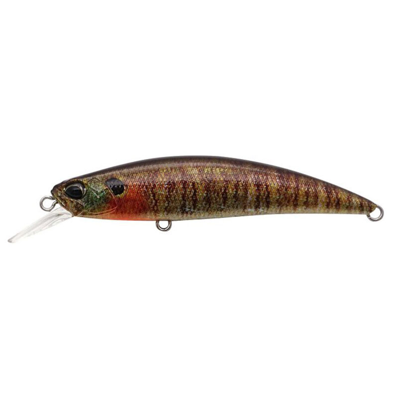 Leurre Dur Jerkbait DUO Spearhead Ryuki 8cm, 12g - Jerkbaits | Pacific P&ecirc;che