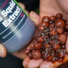 Booster CC Moore Liquid Squid  Extract Compound 500ml - Boosters / dips | Pacific Pêche