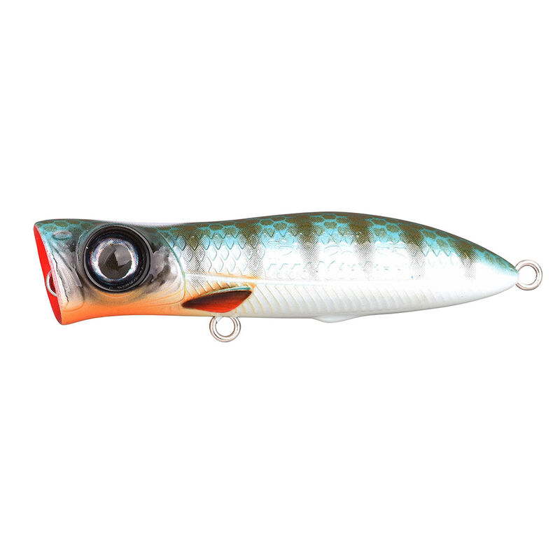 Leurre Dur Popper Spro Iris Pop 7.5cm, 10.5g - Surface | Pacific Pêche