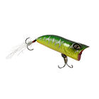 Leurre Dur Popper Evok Loki Pop 7.5cm, 15.6g - Surface | Pacific Pêche