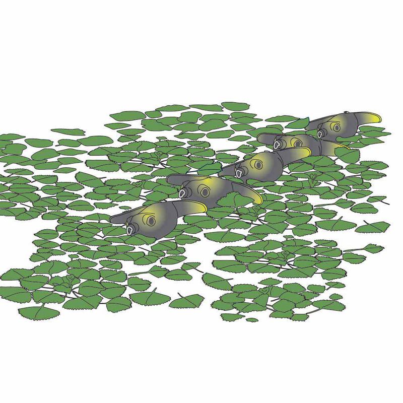 Leurre Frog Deps Basirisky 60, 6cm, 14g - Frog | Pacific Pêche