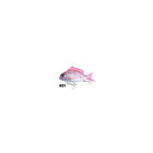 Leurre Little Jack Charikom 8,2cm - Leurres poissons nageurs | Pacific Pêche