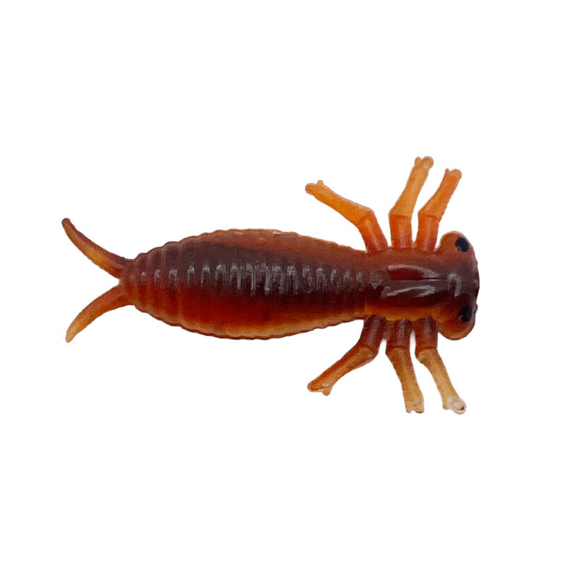Leurre Souple Insecte Delalande Morbak 5cm (x3) - Ecrevisses / Cr&eacute;atures | Pacific P&ecirc;che
