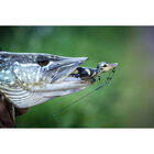 Leurre dur surface carnassier savage gear 3d suicide duck f 10.5cm 28g - Surface | Pacific Pêche