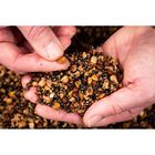 Graines cuites carpe mainline power plus particles nutty hemp & tares 3l - Pr&ecirc;tes &agrave; l'emploi | Pacific P&ecirc;che