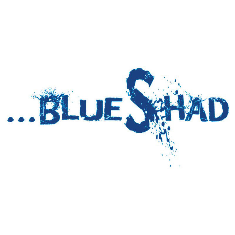 Leurre souple flashmer blue shad 15cm 90g - Leurres souples | Pacific P&ecirc;che