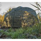 Abri solar camo brolly system 264x150x150 cm - Parapluies | Pacific P&ecirc;che