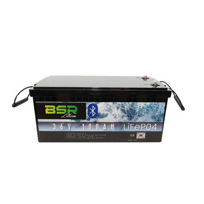 Batterie BSR Bac Monobloc LifePo4 36V/100 Ah + chargeur non &eacute;tanche 10A - Batteries | Pacific P&ecirc;che