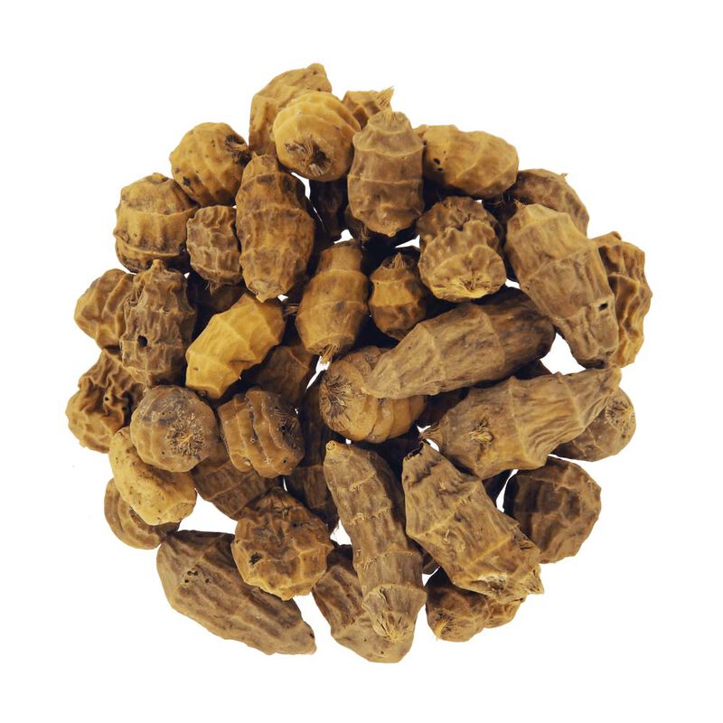 Graines Cap River Tigernuts XXL 11-35mm 1kg - S&egrave;ches | Pacific P&ecirc;che
