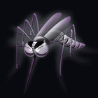 Hame&ccedil;on wacky Nogales MOSQUITO MONSTER WACKY - Simples | Pacific P&ecirc;che