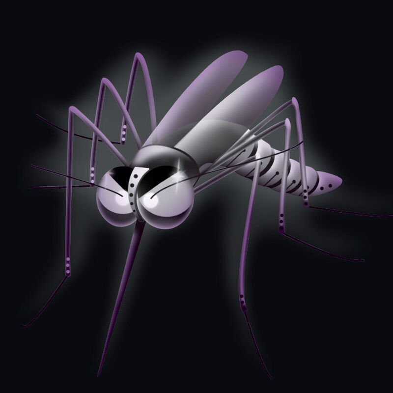 Hame&ccedil;on wacky Nogales MOSQUITO MONSTER WACKY - Simples | Pacific P&ecirc;che