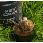 Booster carpe nashbait key cray signal liquid 250ml - Boosters / dips | Pacific Pêche