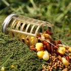 Feeder Guru Bait Up X-Change Caged Small 20g - Cages | Pacific P&ecirc;che