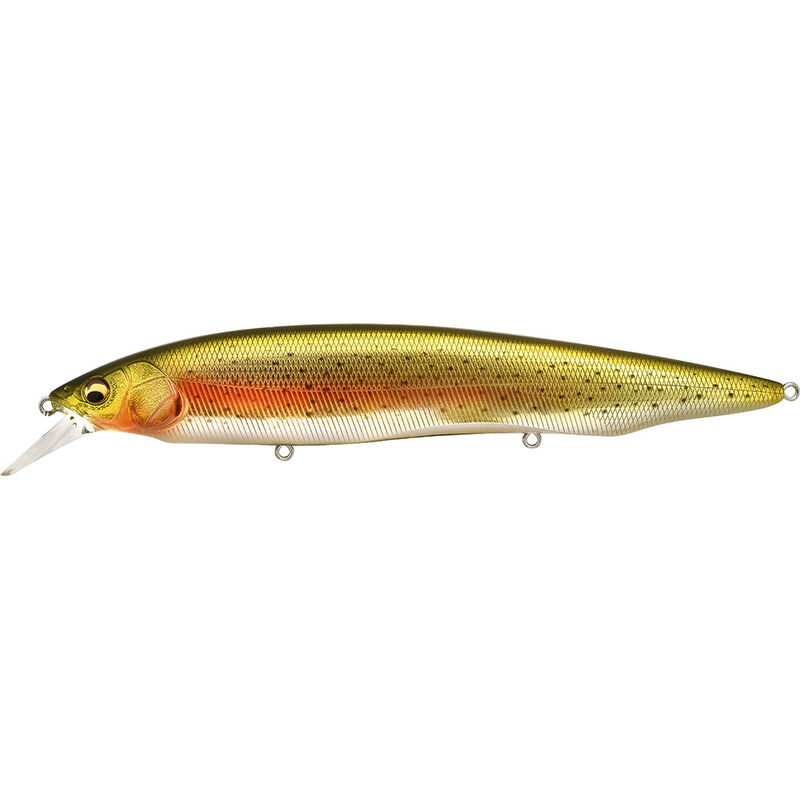 Leurre dur jerkbait carnassier megabass kanata 16cm 30g - Jerkbaits | Pacific Pêche