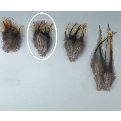 Fly tying jmc plumes de pardo pelle de cape grade 1 - Plumes | Pacific Pêche