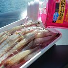 Attractant Marukyu EBISHAKI - Attractants | Pacific P&ecirc;che