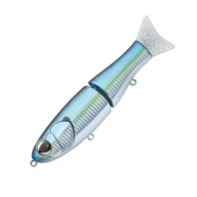 Leurre Sakura S-Shiner 170 S - Swim Baits | Pacific Pêche