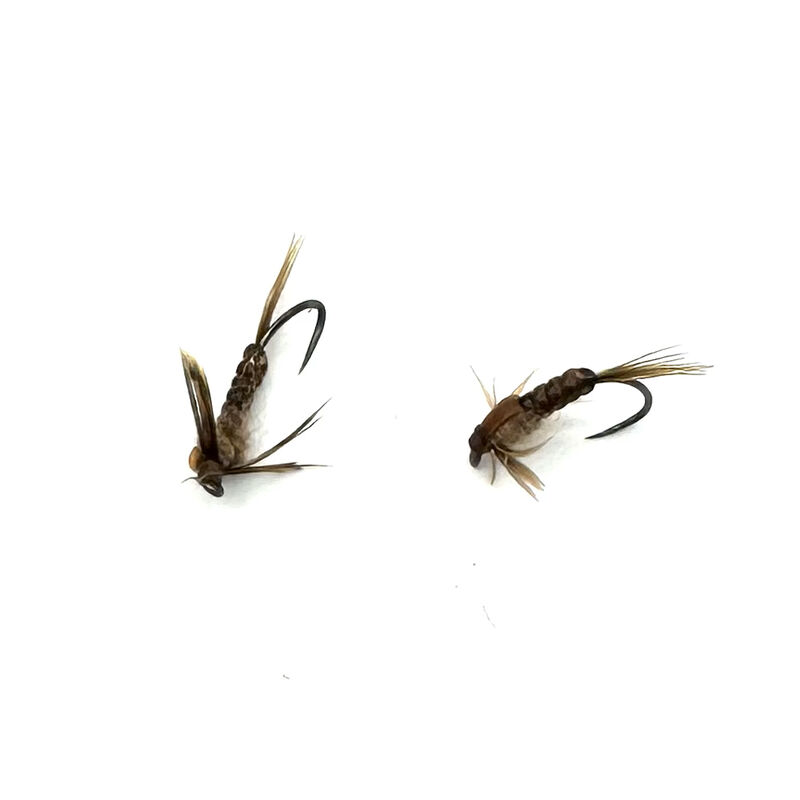 Kit 3 Mouches Silverstone Nymphes Absolut Marron H14 - Nymphes | Pacific P&ecirc;che