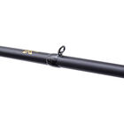 Canne Casting Illex The Artist X5 B 210 M Sorceress 2.11m, 5-25g - Cannes Casting | Pacific P&ecirc;che