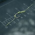 Bo&icirc;te &agrave; p&ecirc;che carpe nash new rig station - Bo&icirc;tes | Pacific P&ecirc;che