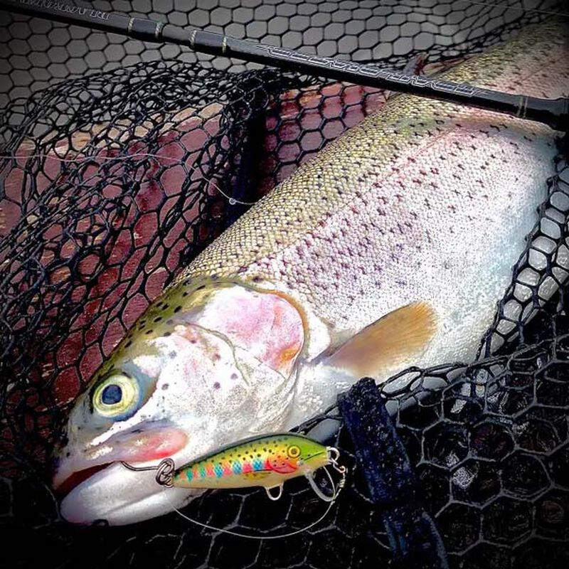 Leurre Dur Jerkbait Rapala Countdown 03 3cm 4g - Jerkbaits | Pacific Pêche