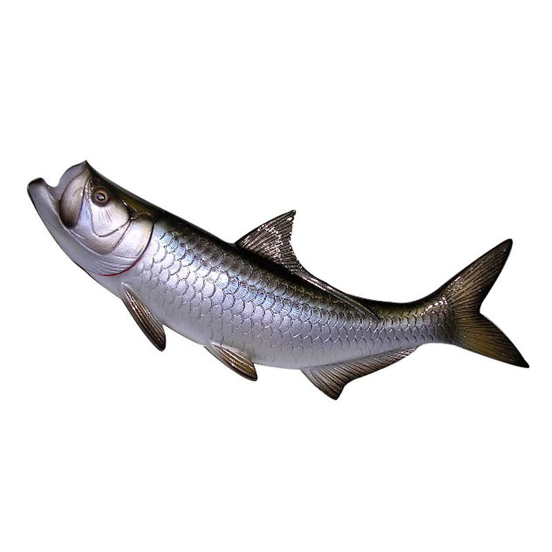 Sculpture murale demi coque tarpon cap vert - D&eacute;coration | Pacific P&ecirc;che