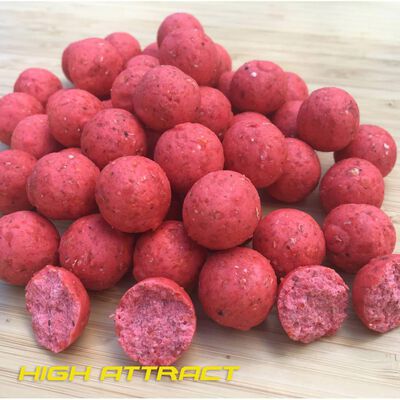 Bouillettes mack2 high attract boilies 20mm 5kg red spice - Denses | Pacific Pêche