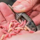 Cage feeder coup preston ics in-line maggot feeder small - Cages | Pacific P&ecirc;che