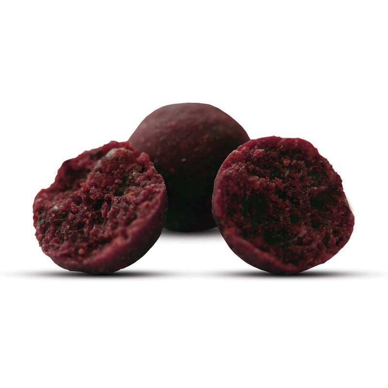 Bouillettes carpe mistral specialist range e le terrible boilies 1kg - Denses | Pacific P&ecirc;che