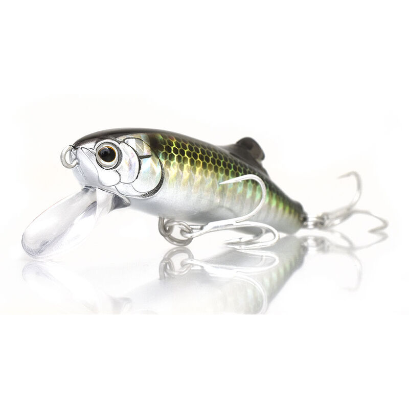 Leurre poisson nageur tackle house shore shm 6.5cm 13.5g - Leurres PN plongeants | Pacific P&ecirc;che
