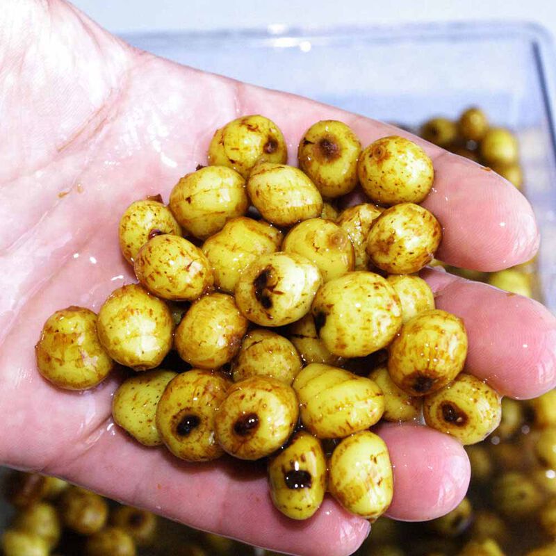 Graines sèches carpe active baits tiger nuts jumbo - Sèches | Pacific Pêche