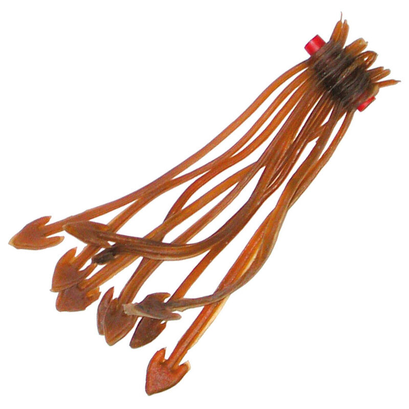 Attaches lignes coup team france naturel (x10) - Connecteurs Elastique | Pacific Pêche